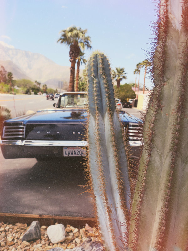 cactus | palm springs | palm springs california | vintage car | retro car| 60's car | 1960 car