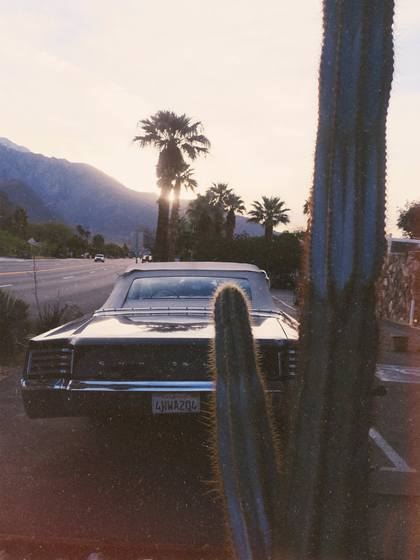 west coast | California | Palm Springs | Palm Springs California | vintage vibes | vintage mood | vintage aesthetic | vintage car | 1960's car | palm trees | cacti | cactus 